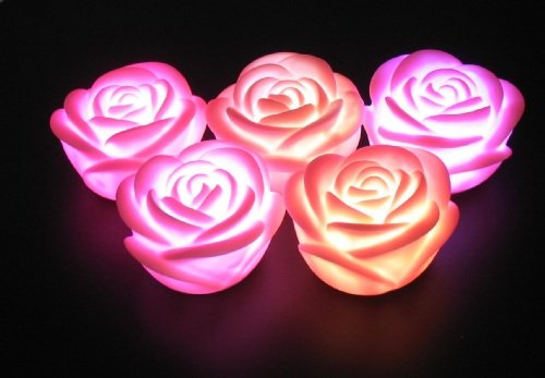 LED Decoration Sleeping Beauty