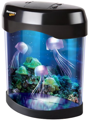 LED Jellyfish Tank 'Discovery'