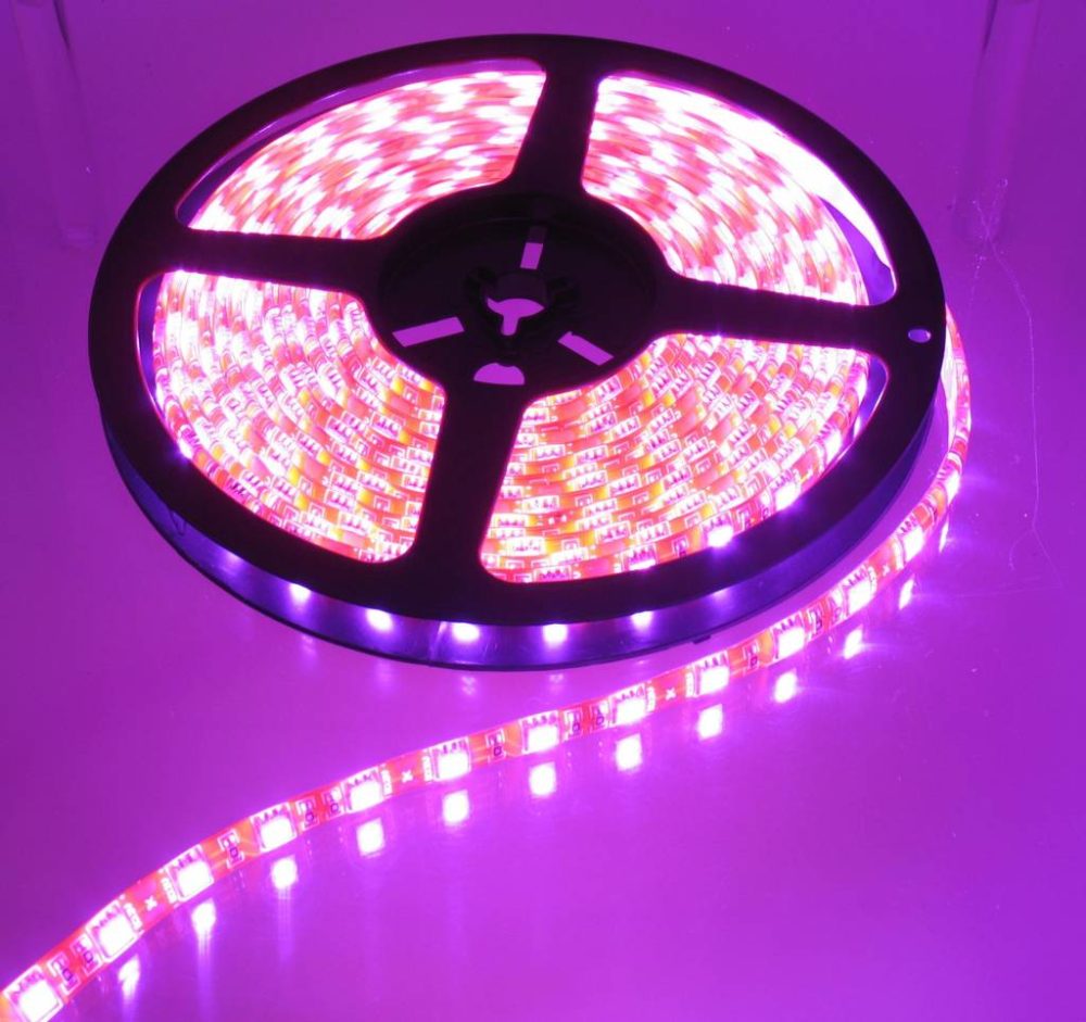 Pink Orange PCB 60led 5m IP65 Complete
