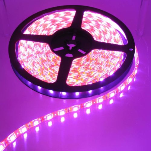 Pink Orange PCB 60led 5m IP65 Complete
