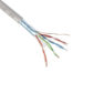 cable detech network ftp cat white