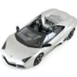 RC Car Lamborghini Reventon Spyder 114 (Grey)