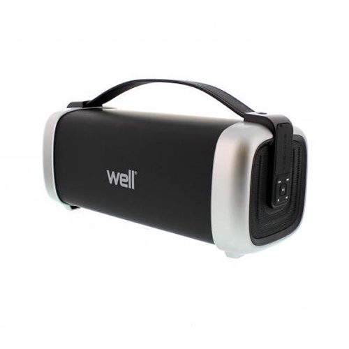 Φορητό Ηχείο Bluetooth 36W Splash proof & w/FM Radio Well