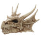 Collectable Dragon Skull