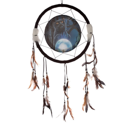 Decorative Cat Design The Witches Apprentice 33cm Dreamcatcher
