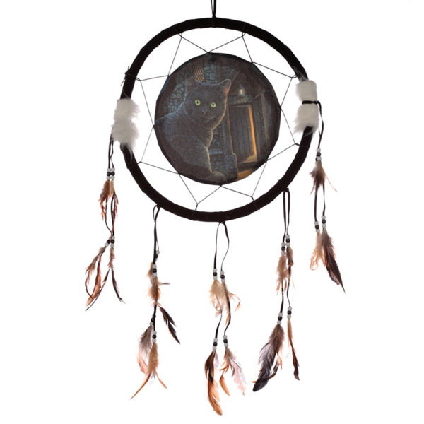 Decorative Cat Design What Lies Within 33cm Dreamcatcher