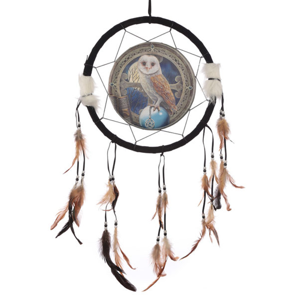 Decorative Magical Barn Owl 34cm Dreamcatcher