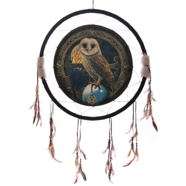 Decorative Magical Barn Owl 60cm Dreamcatcher