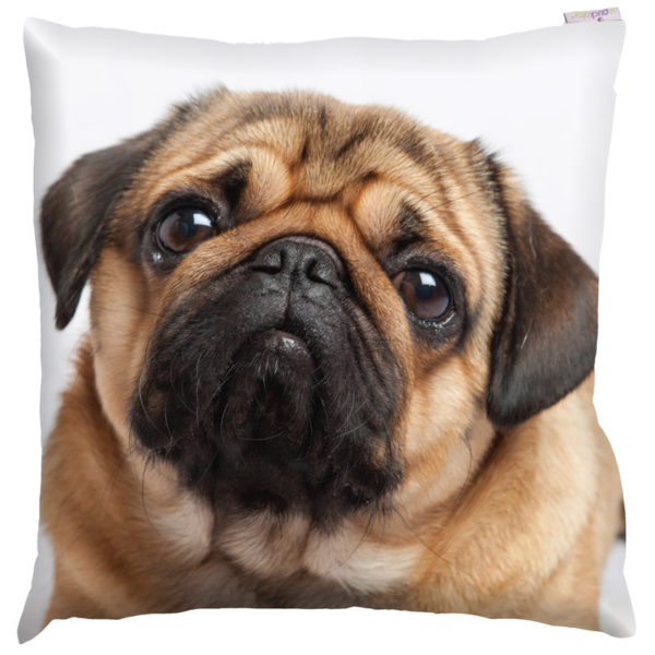 Decorative Pug Print Cushion