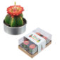 Fun Mini Candles - Cactus with Red Flower Set of 6 Tea Lights