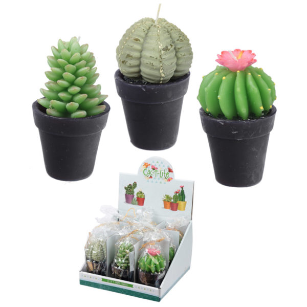 Fun Mini Candles - Large Cactus in a Pot