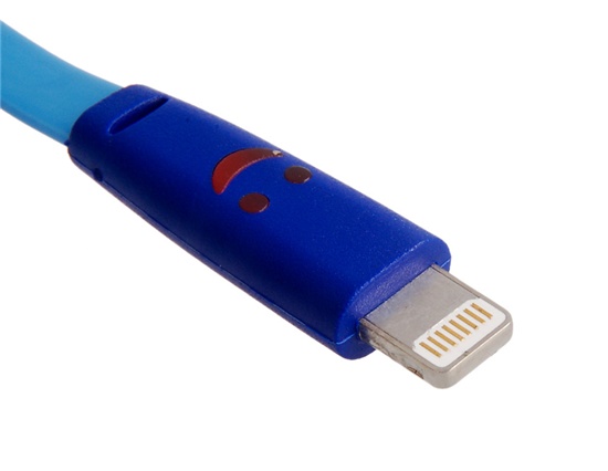 data cable for iphone 5/5s: 6