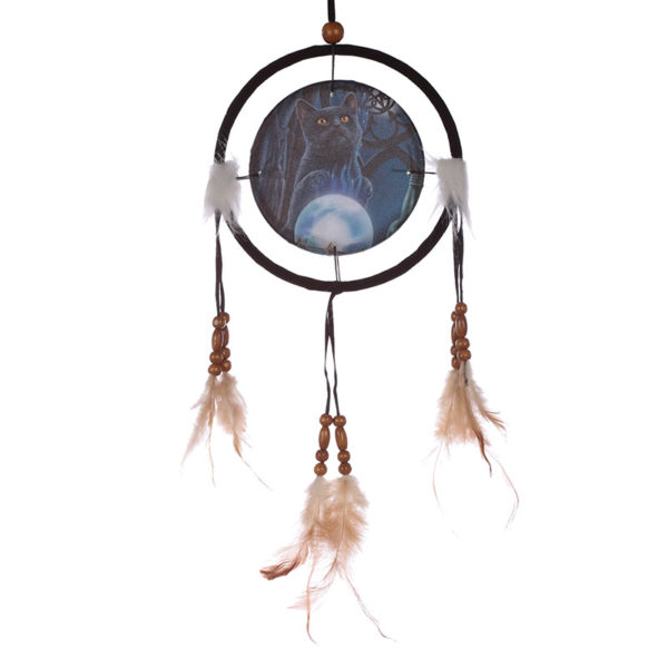Decorative Cat Design The Witches Apprentice 16cm Dreamcatcher