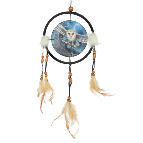 Decorative Heart of the Storm Owl Design Dreamcatcher Small
