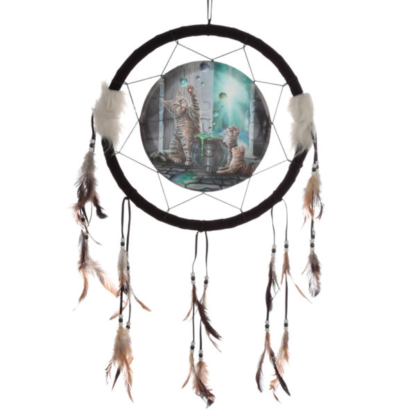 Decorative Lisa Parker Hubble Bubble 33cm Dreamcatcher