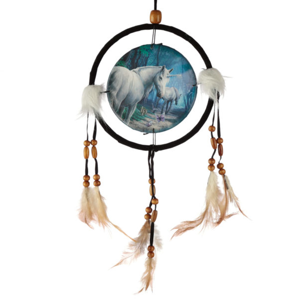 Decorative Lisa Parker The Journey Home 16cm Dreamcatcher