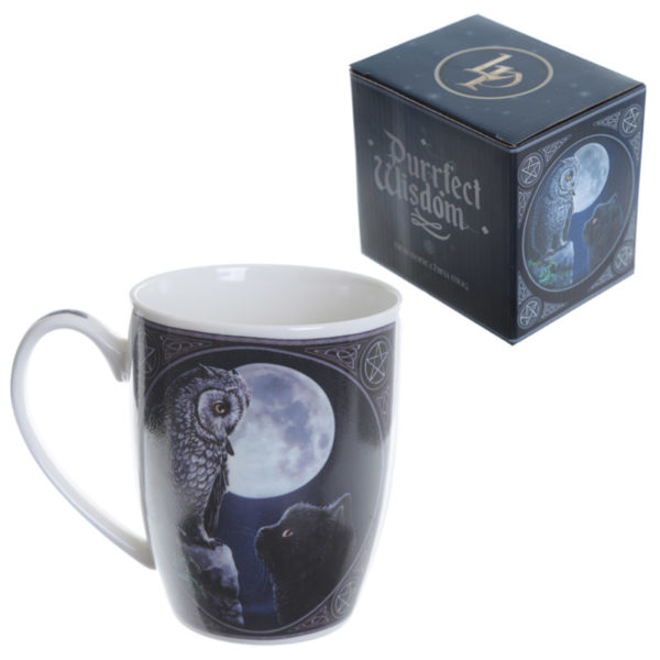 Fantasy New Bone China Mug - Owl and Black Cat
