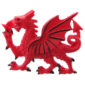 Fun Novelty Welsh Dragon Collectable Magnet