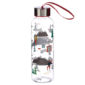Fun Ski Design 500ml Bottle with Metallic Lid
