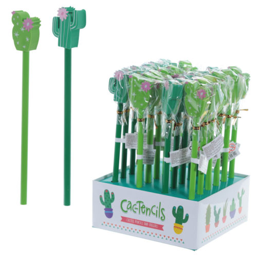 Funky Cactus Design Pencil and Eraser Set