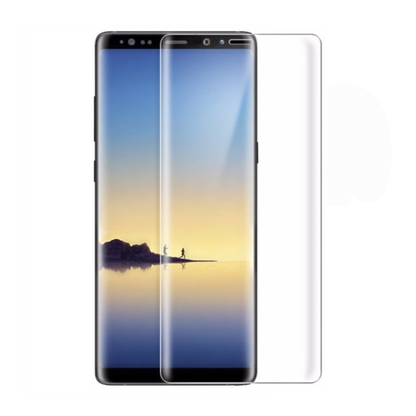 glass protector