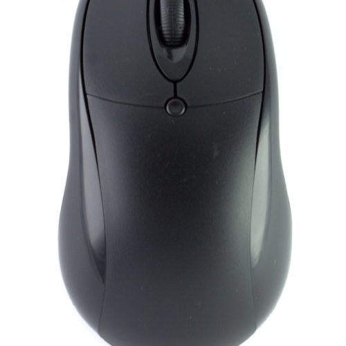 mouse
