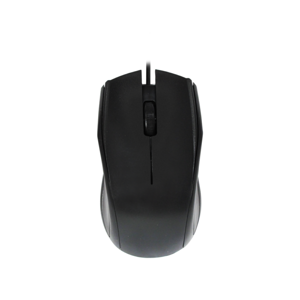 mouse