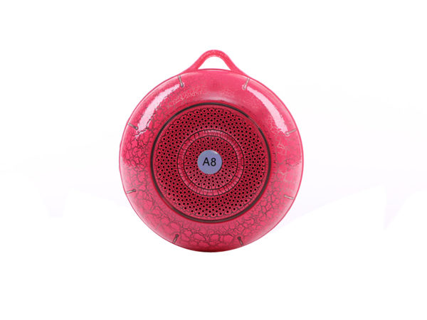 speaker brand with bluetooth