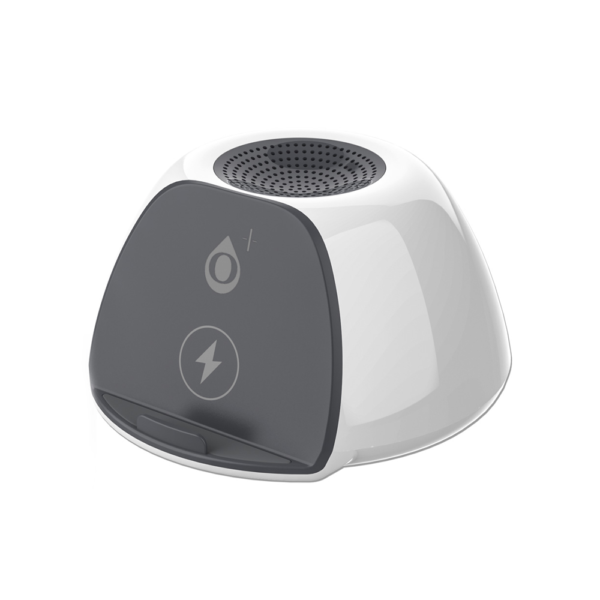 speaker one plus nf4066