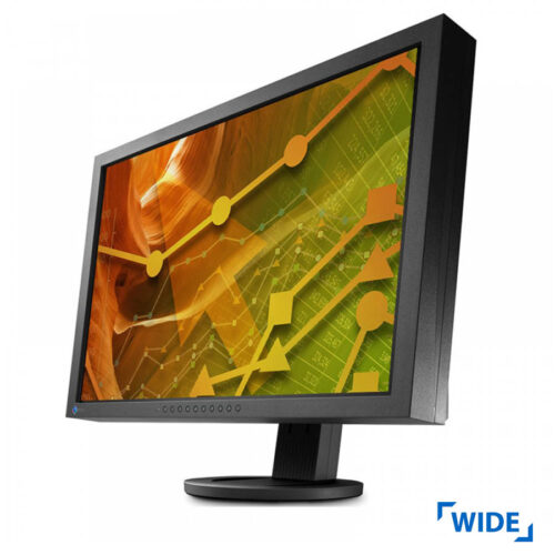 Used Monitor S2402W TFT/Eizo /23"/1920x1200/wide/Black/Grade B/D-SUB&DVI-D