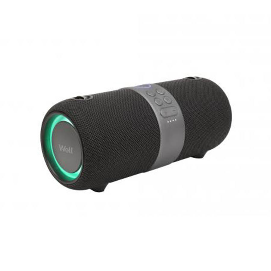 Φορητό Ηχείο Bluetooth 5.0 20W IPX6 w/Hands-Free & FM/Radio TWS Well Bounce (SPKR-BT-BOUNCE-WL)