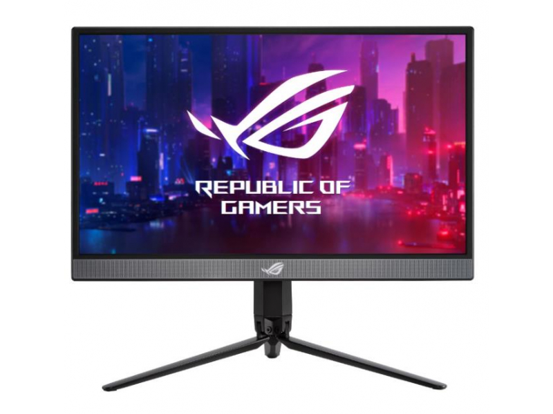 ASUS 43,8cm Prof. XG17AHP HDMI IPS Spk 240Hz 90LM05G1-B01170