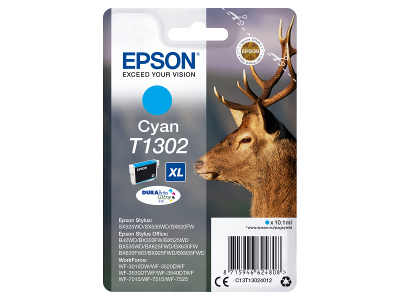 Epson TIN T130240 cyan C13T13024012
