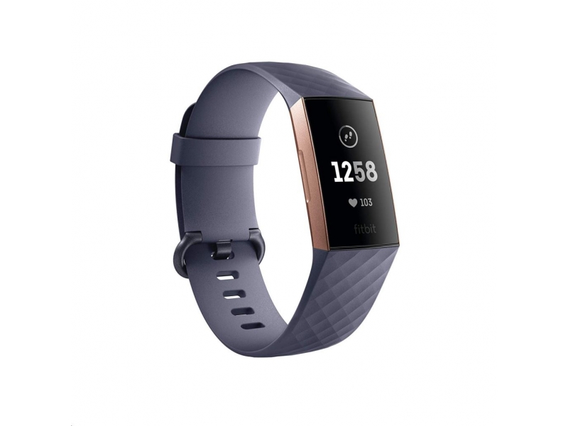 Fitbit Charge 3 OLED Wristband activity tracker blue-gray