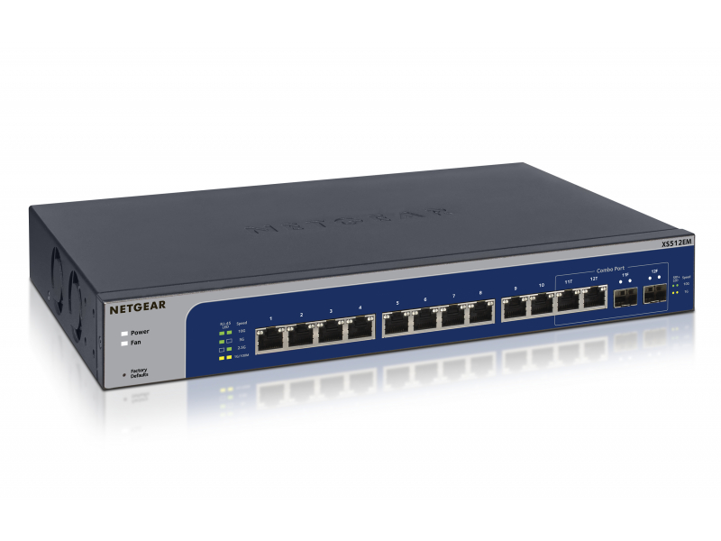 Netgear 8Port Switch 100