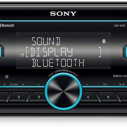 Sony Audio Bluetooth Media Receiver - DSXB700.EUR