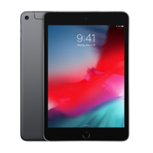 iPad mini 7,9 (20,1cm) 256GB WIFI + LTE Spacegrey iOS MUXC2FD