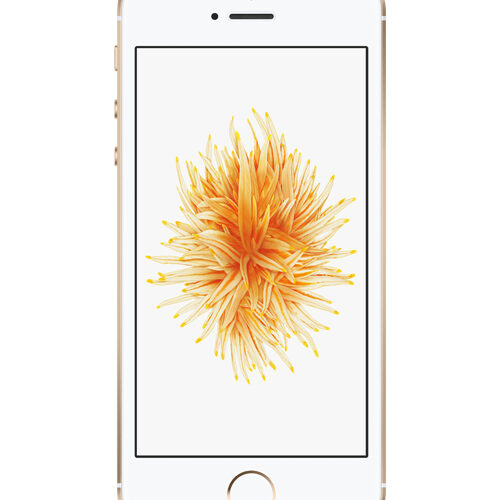 Apple iPhone SE 64GB Gold !RENEWED! MLXP2