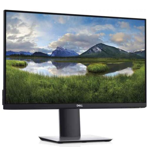 Dell 61.0cm (24) 169 HDMI+DP+USB-C black P2419HC
