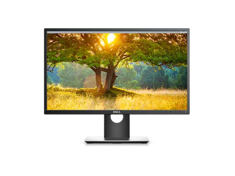 Dell P2417H - LED-Monitor - 61 cm (24)