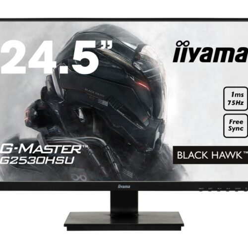 IIYAMA 62.2cm (24,5) G2530HSU-B1 169 HDMI+DP+USB black G2530HSU-B1