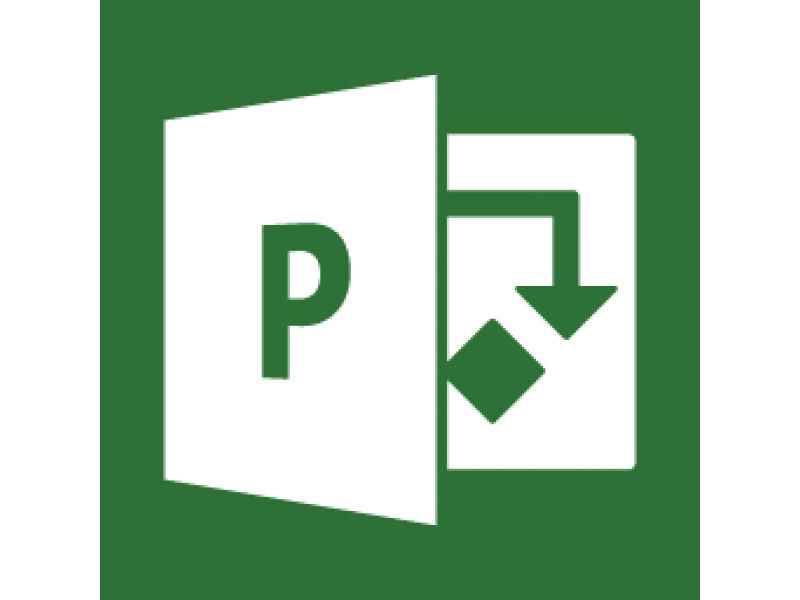 Microsoft Project 2019 1 license(s) German 076-05798
