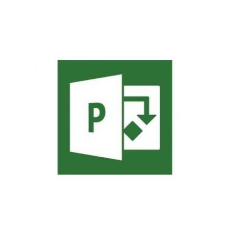 Microsoft Project Professional 2019 1 license(s) German H30-05766