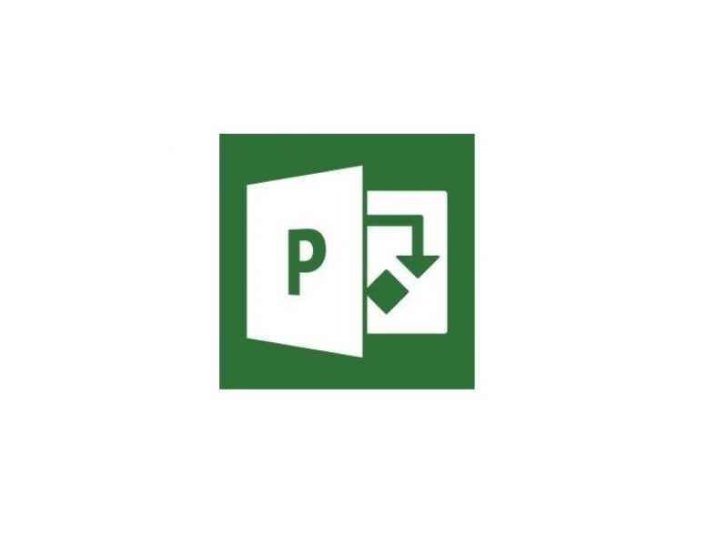 Microsoft Project Professional 2019 1 license(s) German H30-05766