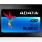 Solid State Disk ADATA Ultimate SU800 256GB ASU800SS-256GT-C