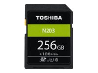 Toshiba SD Exceria R100 N203 256GB THN-N203N2560E4