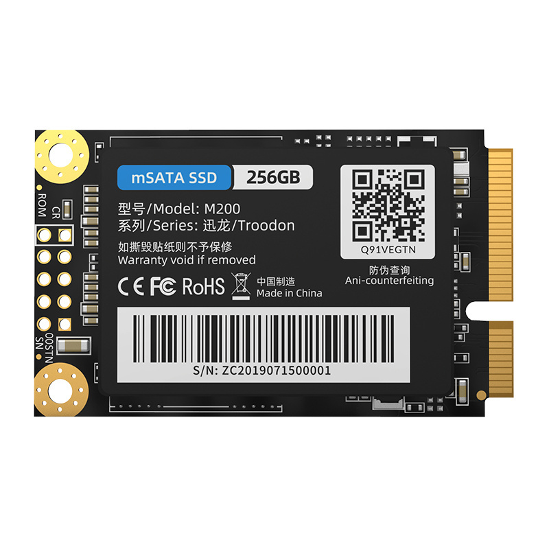 mSATA SSD 256GB