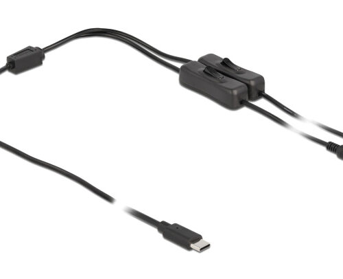 DELOCK καλώδιο USB Type-C σε 2x DC 5.5 x 2.1mm 86800