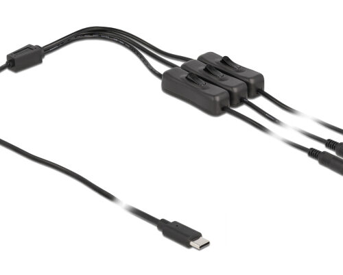 DELOCK καλώδιο USB Type-C σε 3x DC 5.5 x 2.1mm 86801