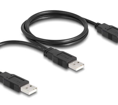 DELOCK καλώδιο USB σε 2x USB 80000